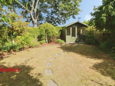 Picture 3